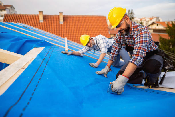 Best Commercial Roofing Services  in Kingston, IL